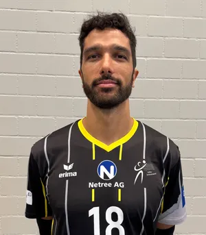 Player image