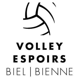 Club Logo VEBB 2a