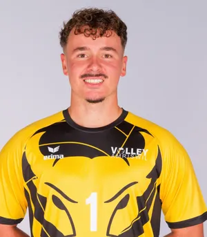 Player image