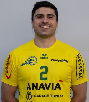Player image