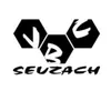 Club Logo VBC Seuzach