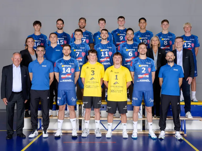 Volley Amriswil (LNA, M)