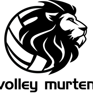 Club Logo TV Murten Volleyball F2 B