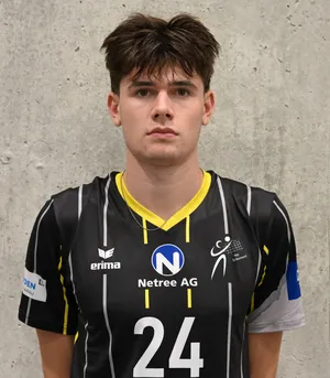 Player image