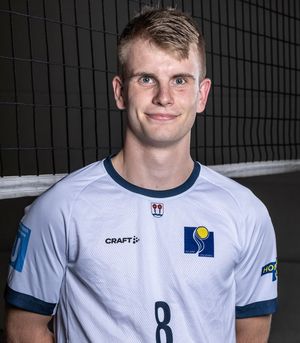 Player image