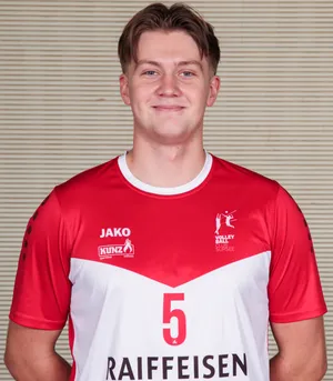 Player image