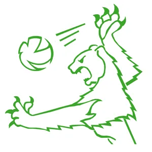 Club Logo Volley Grüningen D2
