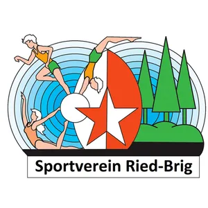 Club Logo VBC Ried-Brig