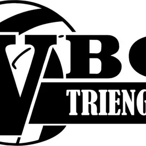 Club Logo VBC Triengen 2