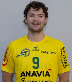 Player image
