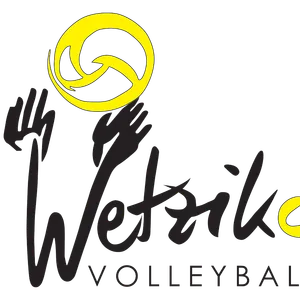 Club Logo VBC Wetzikon D2