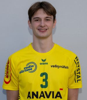 Player image