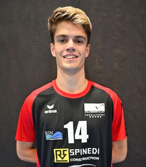 Player image