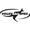 Club Logo VBC Spiez