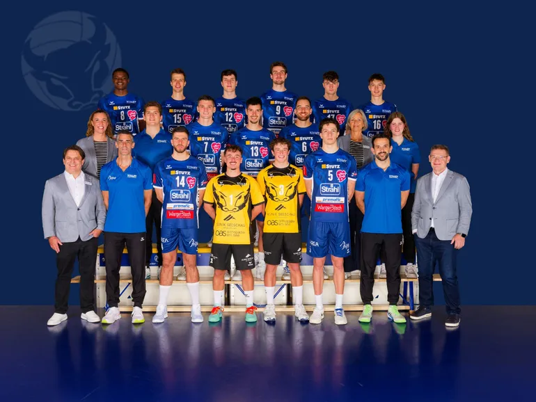 Volley Amriswil (NLA, M)