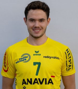 Player image