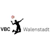 Club Logo VBC Walenstadt 1