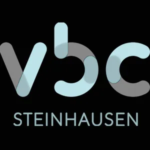 Club Logo VBC Steinhausen J2