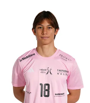 Player image