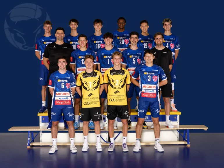 Volley Amriswil (NLB, M)