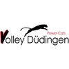 Club Logo Volley Düdingen