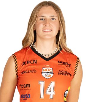 Player image
