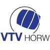 Club Logo VTV Horw 1