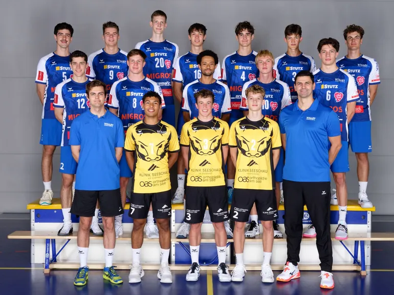 Volley Amriswil (NLB, M)