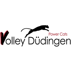 Club Logo Volley Düdingen F16 Championnat Suisse 