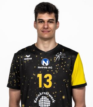 Player image