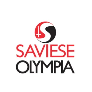 Club Logo VBC Savièse