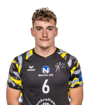 Player image