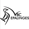 Club Logo VBC Epalinges