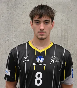 Player image