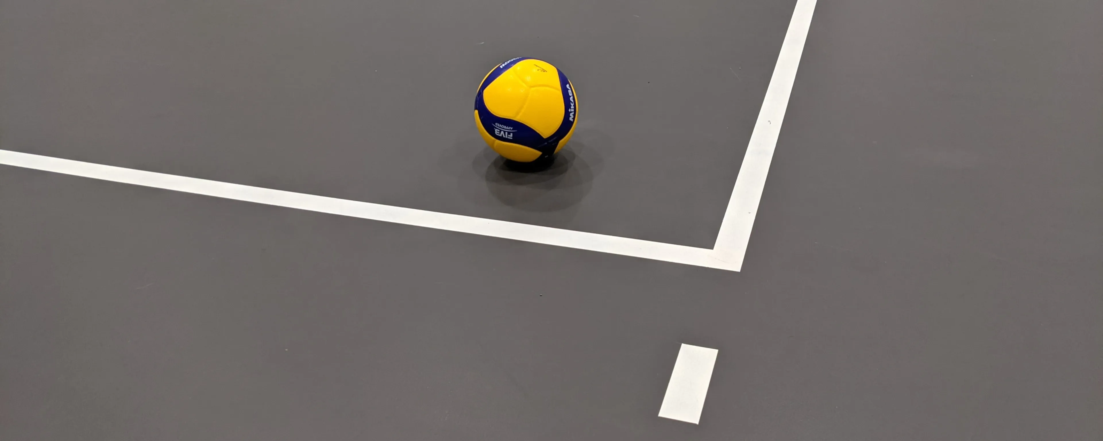 Photo: Swiss Volley